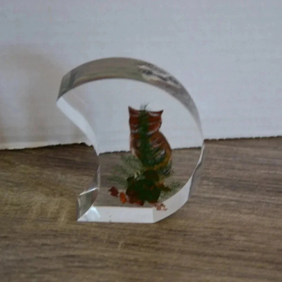 Vtg Lucite Encased Wood Owl Paperweight - Picture 3 of 6